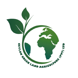 Ceylon Green Land
